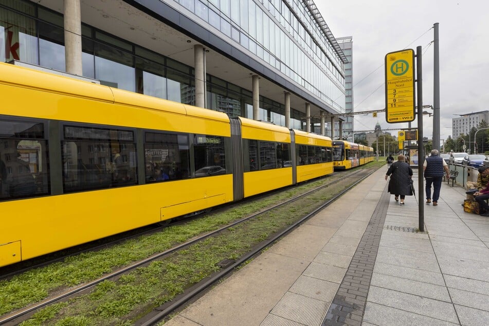 Die 16-Jährige hielt sich am Samstagnachmittag im Bereich der Haltestelle "Hauptbahnhof Nord" auf.