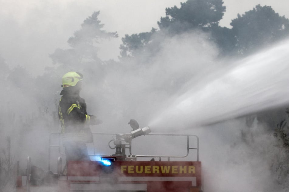 Ein Feuerwehrmann löscht bei einem riesigen Waldbrand in einer Schonung bei Treuenbrietzen ein Feuer.