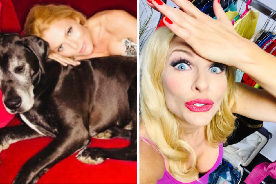 Schon wieder!!! Sonya Kraus hat ein tierisches Problem