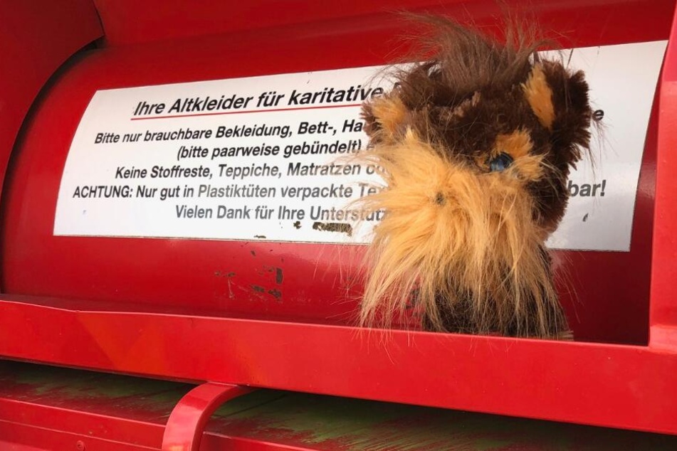 Die Feuerwehr befreite diesen Hund aus dem Altkleidercontainer.