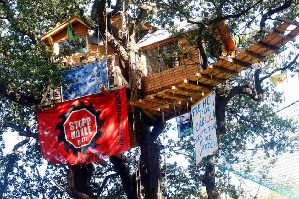 Solarstrom, Fenster, Auffangnetze: Besetzer im Hambacher Forst längst zurück
