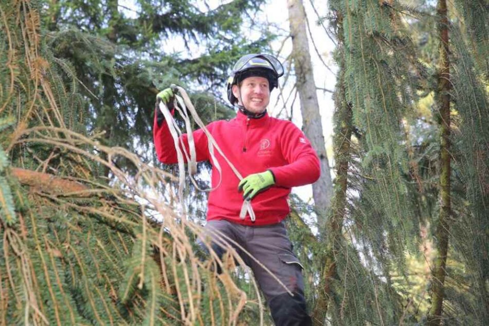 Ein Mitarbeiter der "Baumpflege Andreas Deppner" bei den Vorbereitungen.