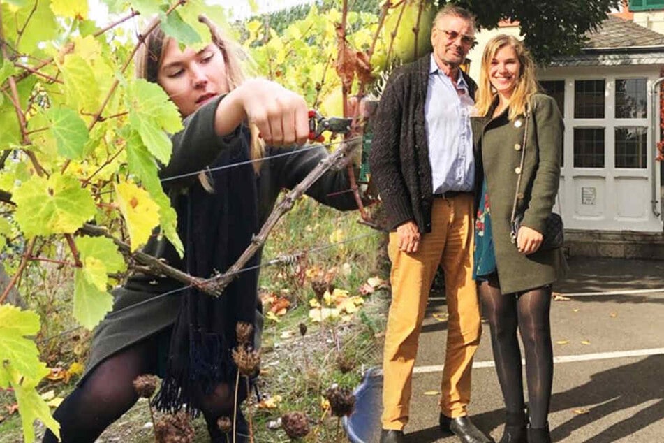 Auf dem Weingut von Günther Klum (74) half die Leipzigerin bei der Trauben-Ernte. (Bildmontage)