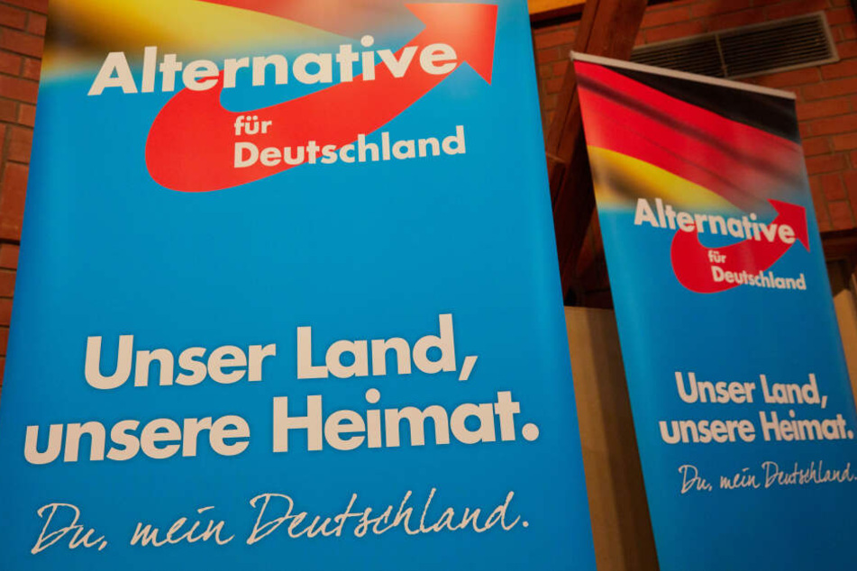 Zwei Poster mit der Aufschrift "Unser Land, unsere Heimat. Du, mein Deutschland", aufgenommen auf einem AfD-Landesparteitag in Henstedt-Ulzburg (Schleswig-Holstein).