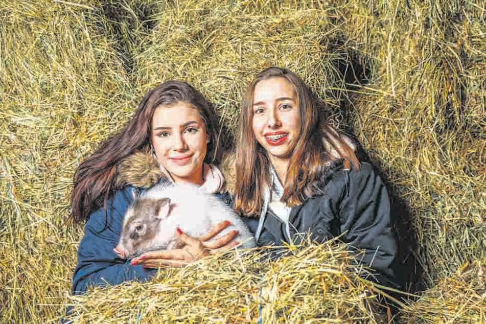 Kaum brachte Sabine Dietmann den Mini-Eber Eddy mit nach Hause, da war er auch schon der Liebling ihrer Töchter Carlotta (16, l.) und Olivia (14).
