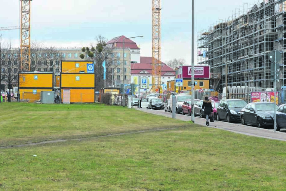 Damit die Linden-Reihen gepflanzt werden können, fällt die Stadt noch die wild gewachsenen Bäume auf der Baustelle der CG-Gruppe (im Bildhintergrund).