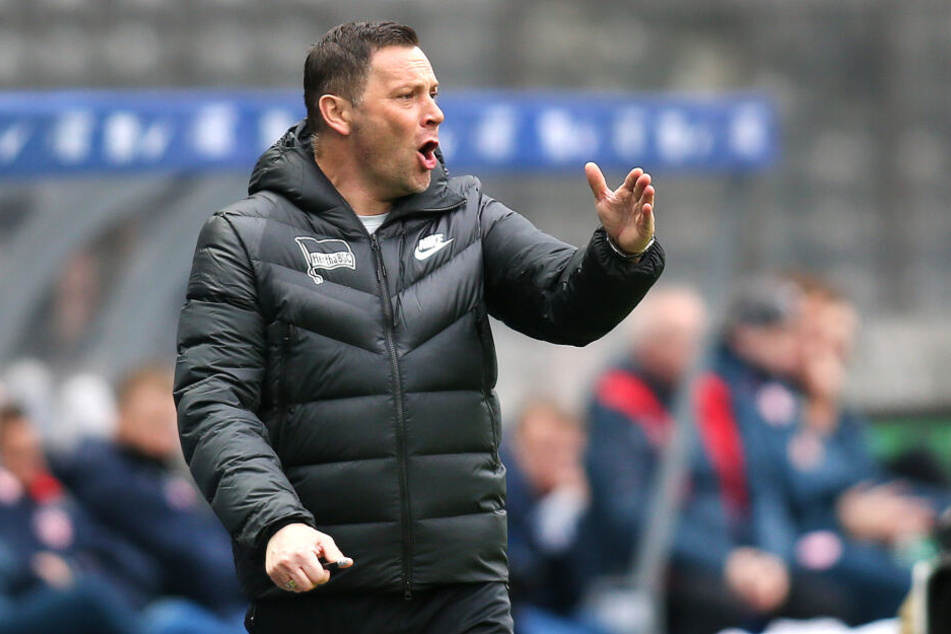 Pal Dardai wütete zwischenzeitlich an der Seitenlinie.