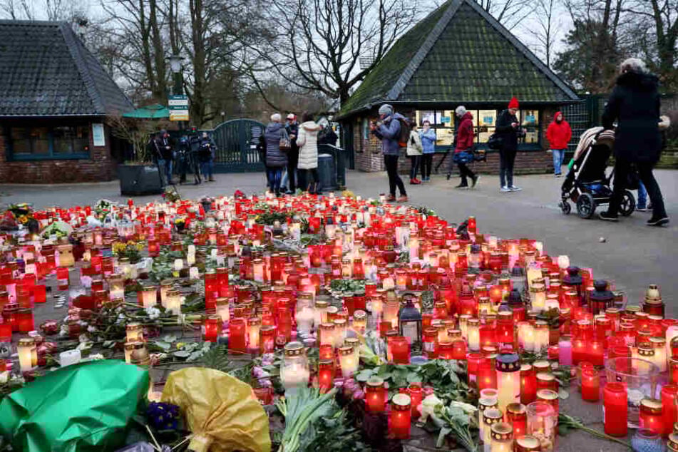 Der Zoo öffnet heute wieder für die Besucher.