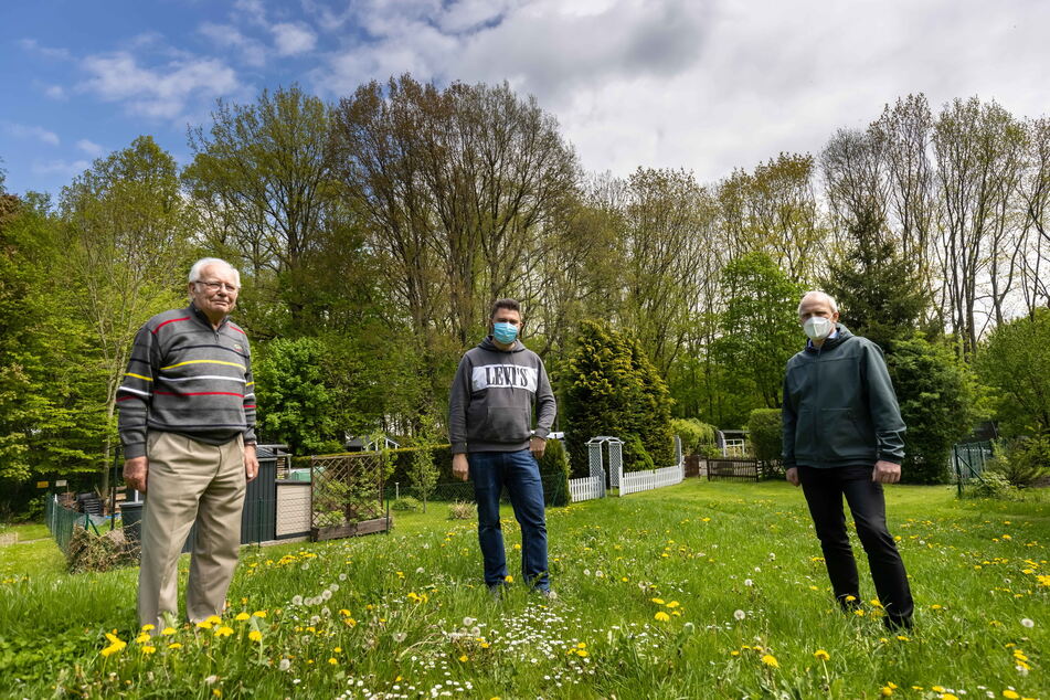 Die Anwohner Joachim Meinert (85, v. l.), Matthias Bader (35) und Stadtrat Bernhard Herrmann (55, Grüne) wollen Kahlschlag in Heinersdorf verhindern.