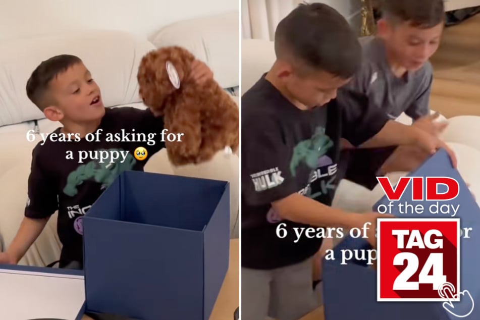 This boy finally got the puppy he's been wishing for - and his reaction will melt your heart!