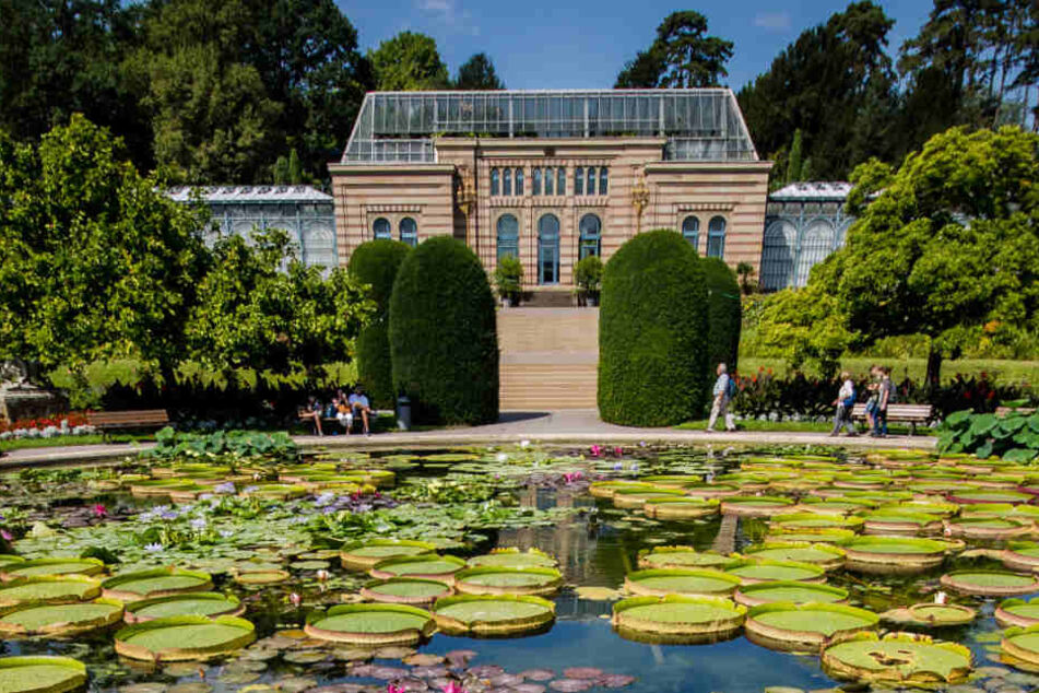 Der Zoo habe erhöhte Ausgaben und benötige daher mehr Geld. (Archiv)