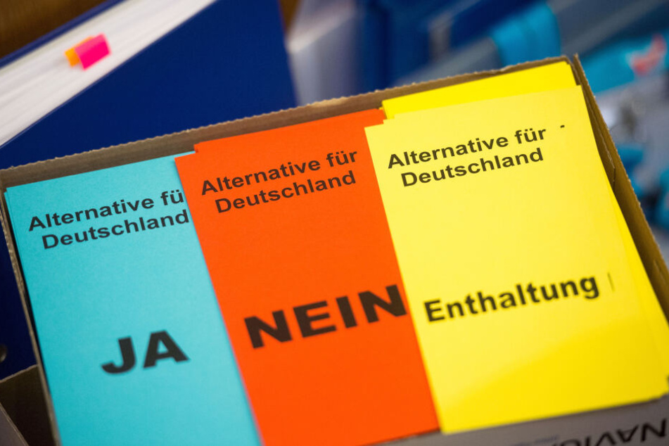 Stimmzettel der Partei Alternative für Deutschland (AFD).
