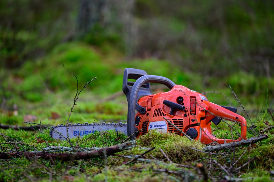 Der 15-Jährige fällte gemeinsam mit seinem Onkel einen Baum. (Symbolfoto)