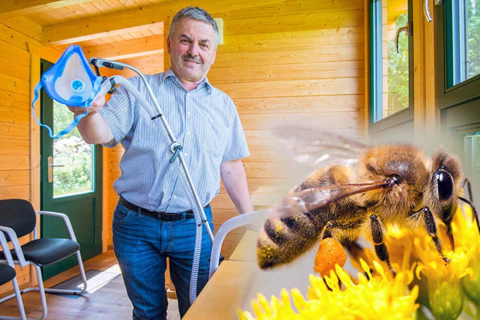 Dieser Imker aus Sachsen will Lungenkranke mit Bienenstock-Luft heilen