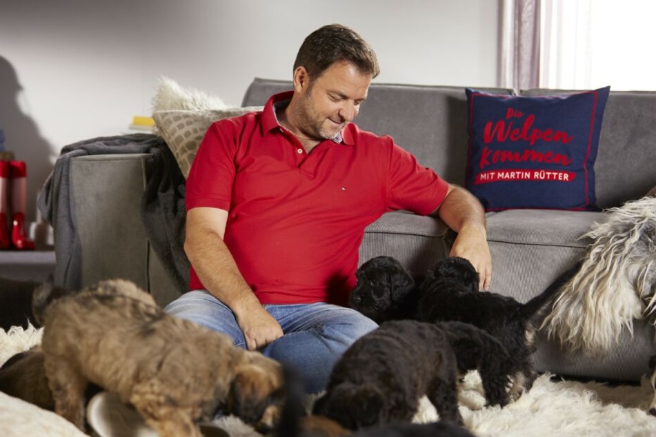 TV-Zuschauern ist Martin Rütter bislang eher als Hundeexperte bekannt.