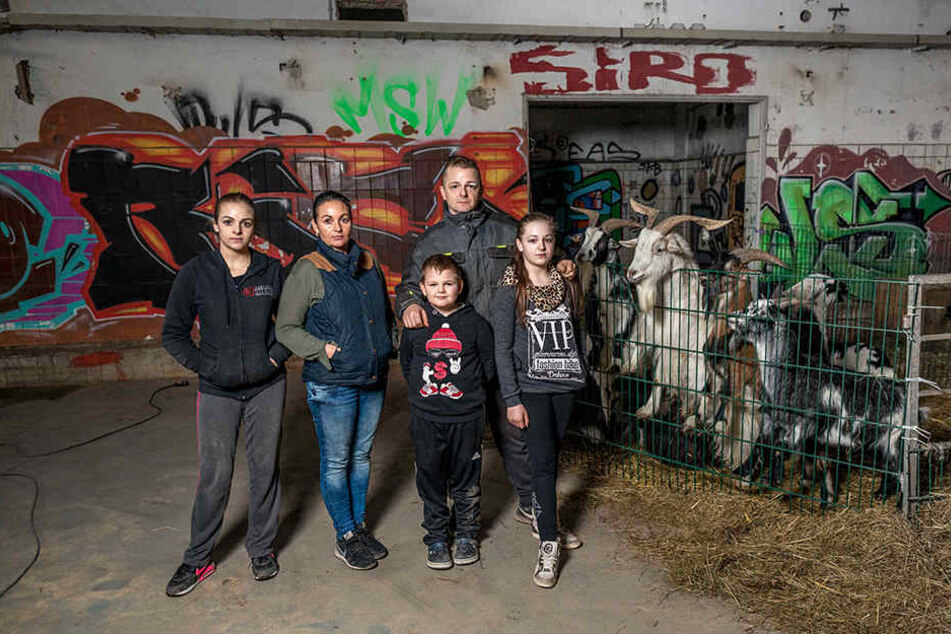 Seit 2010 verzaubert die fünfköpfige Familie Köllner mit ihrem Circus Piccolino das Publikum in und um Dresden - jetzt gab es einen fiesen Anschlag auf ihr Winterquartier.