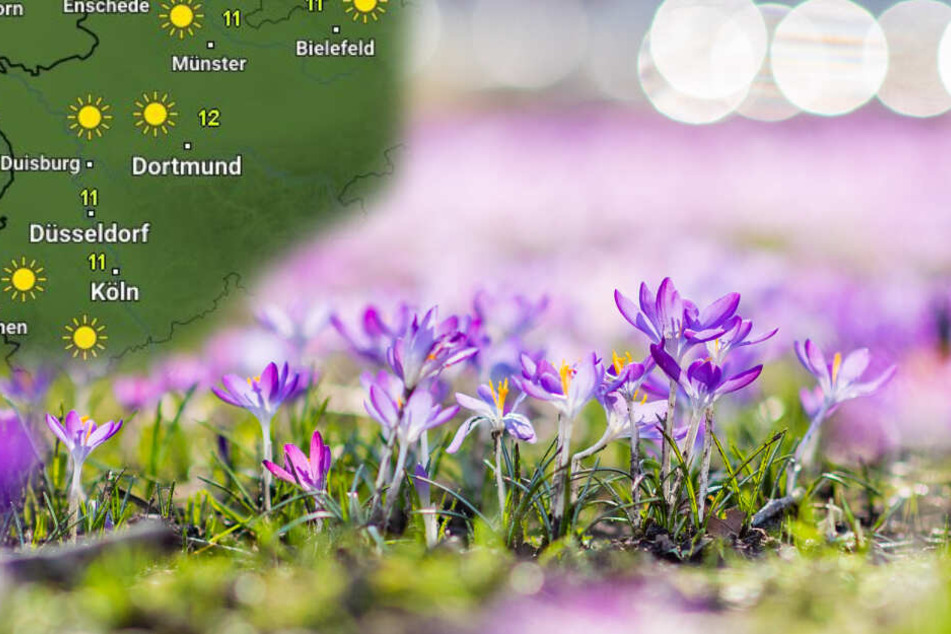 Die Temperaturen in NRW steigen am Sonntag laut Wetter Online auf etwa 12 Grad.