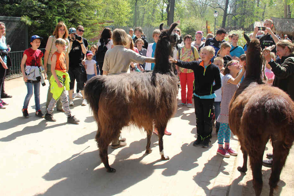 Im Zoo warteten eine Führung und ein buntes Osternest auf die Kinder.