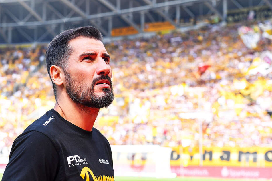 Da kann auch Trainer Cristian Fiel nur staunen: Dynamo hat bei Twitter nun 100.000 Follower.