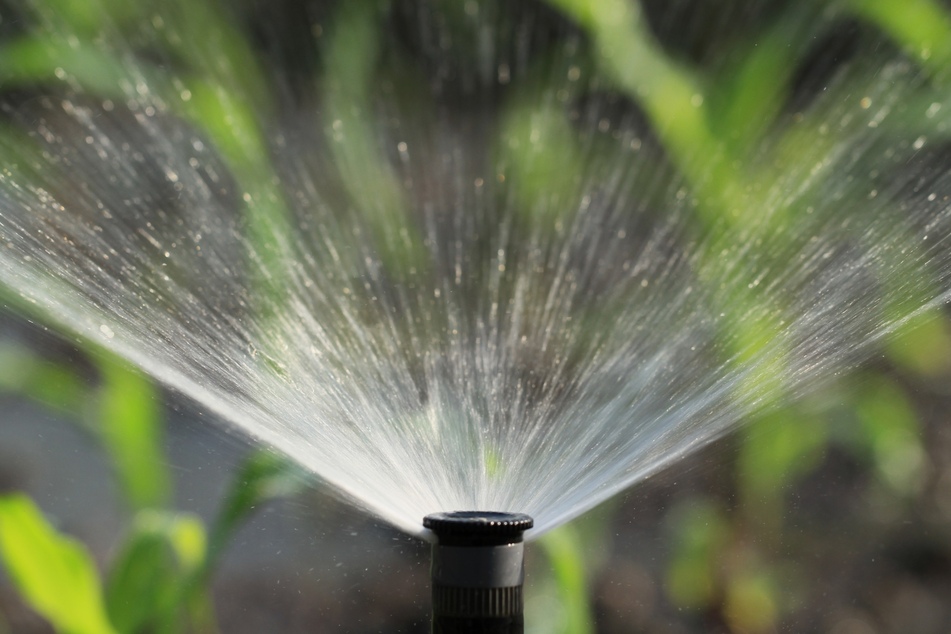 Automatische Bewässerung dank smarter Technologie erleichtert einem im Sommer die Gartenarbeit. (Symbolbild)