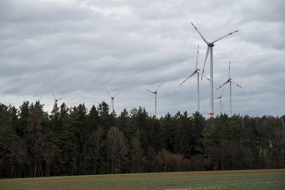 Im Waldgebiet Lindenhardter Forst der Bayerischen Staatsforsten stehen mehrere Windkraftanlagen.