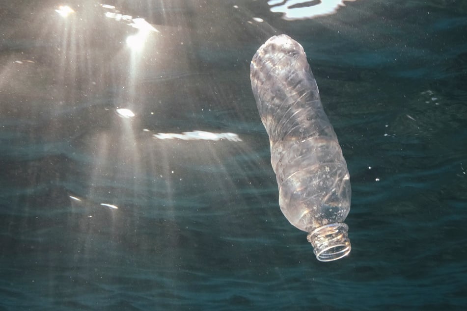 Mikroplastik und die an ihm heftenden Schadstoffe können unter anderem das Leben von Tiere verkürzen und zu verminderter Fruchtbarkeit führen. Über die Auswirkungen auf den Menschen ist bis jetzt nur wenig bekannt.