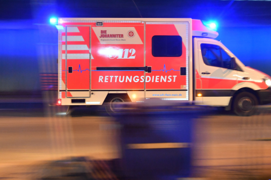 Baumstamm durchbricht Führerhaus: Mann stirbt bei Arbeitsunfall