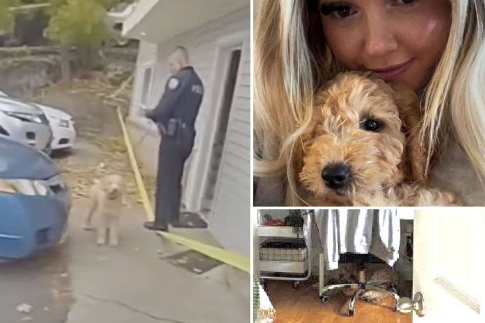 Kaylees Hund "Murphy" befand sich zum Tatzeitpunkt im Haus und wurde Zeuge des Verbrechens.