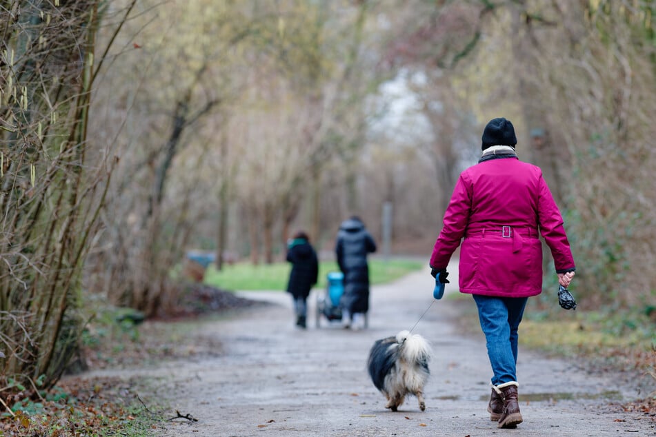 Milder Wettertrend: Sonnige Tage und sinkende Lawinengefahr in Sicht