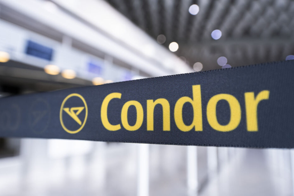 Die Thomas-Cook-Schwester Condor musste keine Insolvenz anmelden.