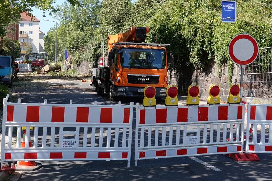 Dresden: Weitere Bäume drohen umzustürzen! Straße in Dresden noch immer voll gesperrt