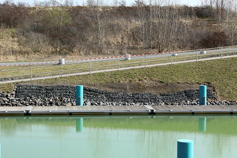 Weil die Böschung am Kanal und an der Kanuparkschleuse ins Rutschen geriet, wurde er im Frühjahr 2021 gekappt.