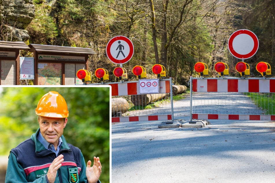 Umweltminister Wolfram Günther (48, Grüne) begleitete die "Task Force"-Gründung aktiv. Viele Wege und Zufahrten sind gegenwärtig im Nationalpark gesperrt.