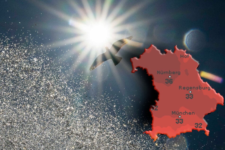 In Bayern wird es in den kommenden Tagen sehr heiß.