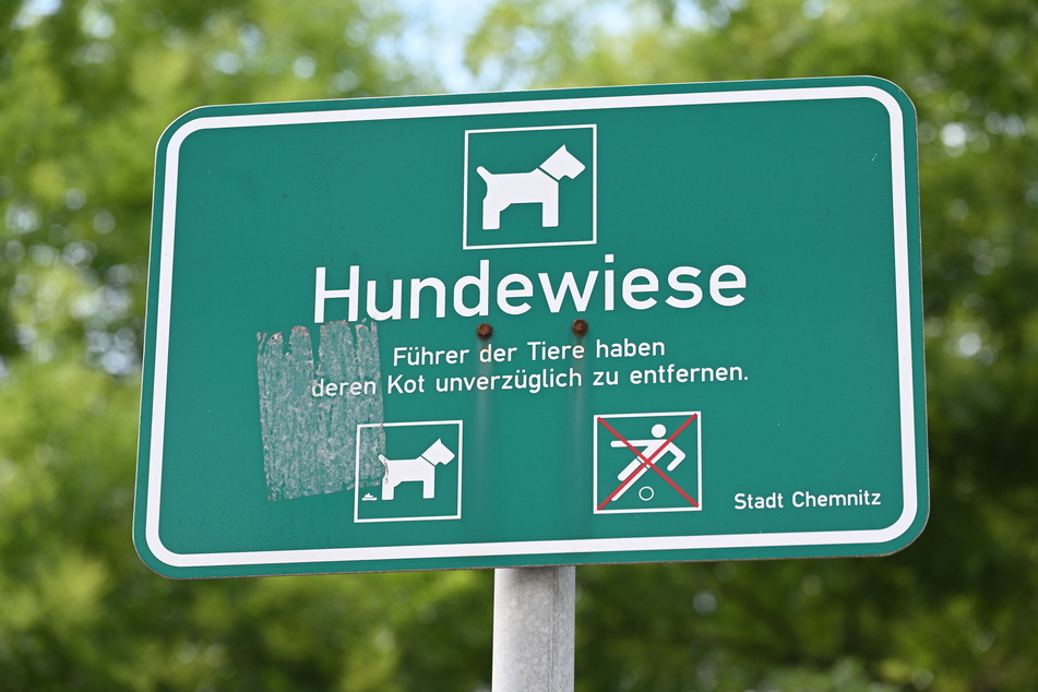 In Bernsdorf oder Siegmar fehlen Hundewiesen.