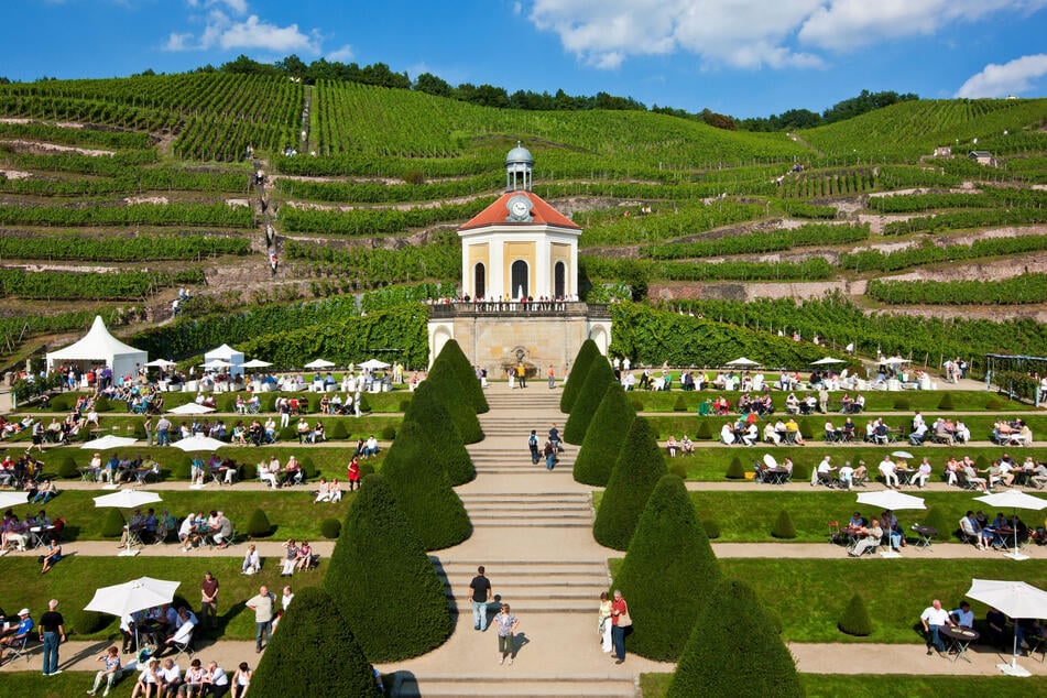 Schloss Wackerbarth ist eingerahmt von Hanglagen.