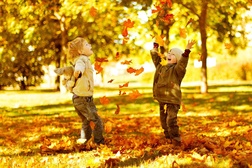 Spielen im Wald ist für Kinder ein großer Spaß. Wenn die Knirpse einen Stock, Kastanien oder Blätter mit nach Hause nehmen wollen, dann ist das völlig in Ordnung.