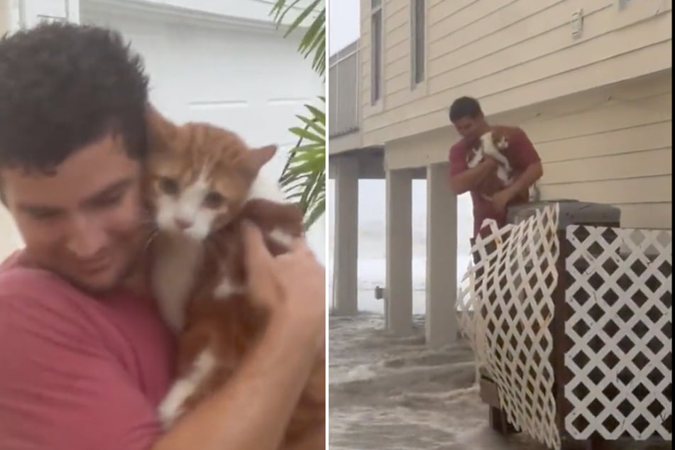 Florida man rescues frightened feline from Hurricane Ian's powerful surge