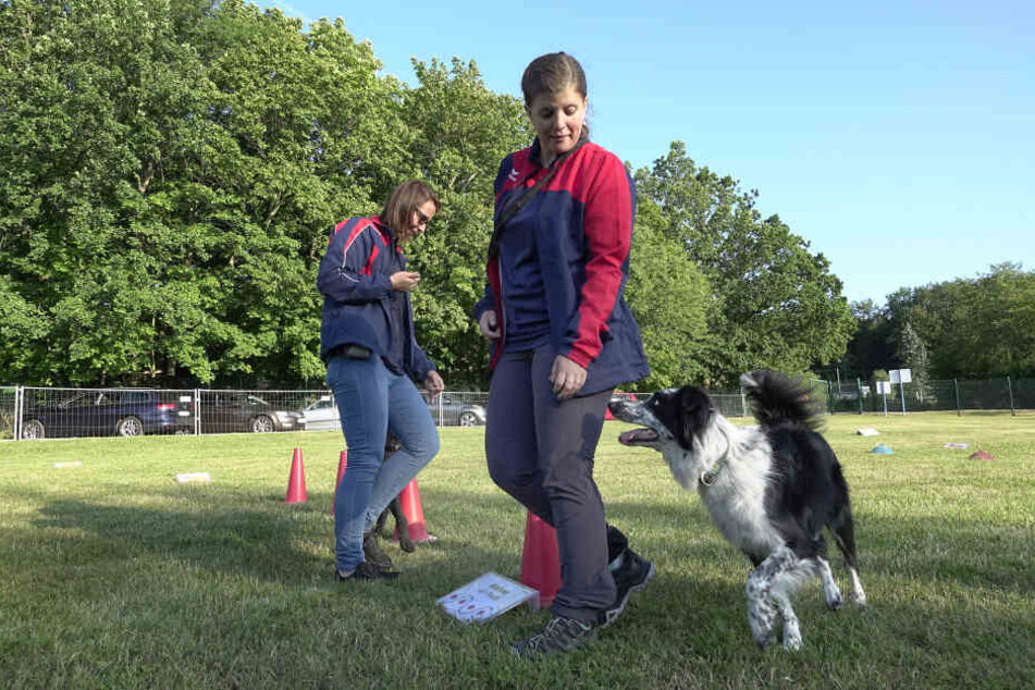 Annika Hartwig (28) durfte den Parcours zusammen mit Border-Colly Cody (5) vorab testen.