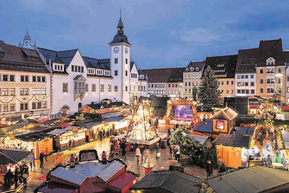 Freiberg sucht einen Weihnachtsbaum für den Obermarkt.