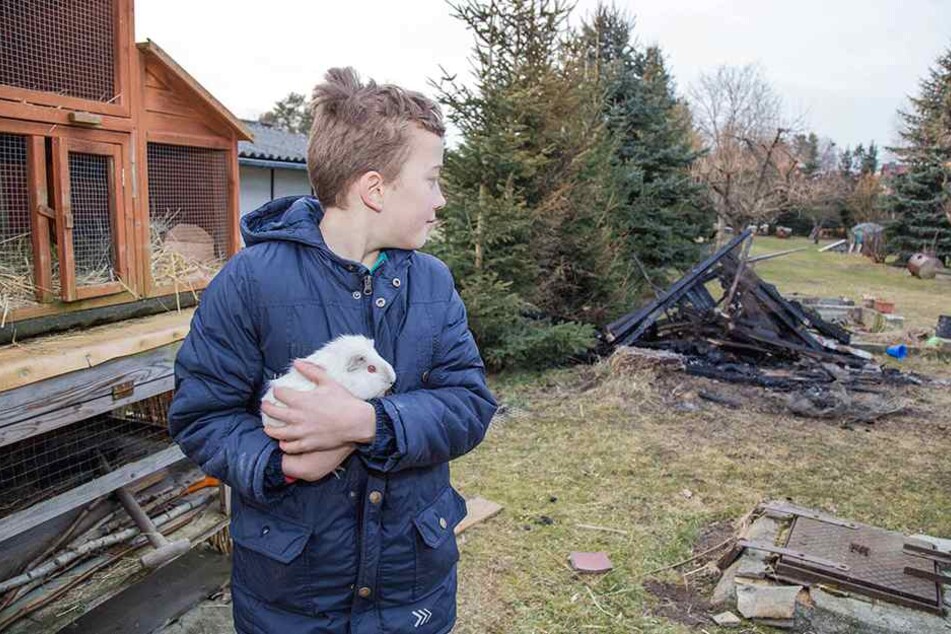 Anitas Enkel Nils (9) ist froh, dass wenigstens seinen geliebten Kaninchen nichts passiert ist.
