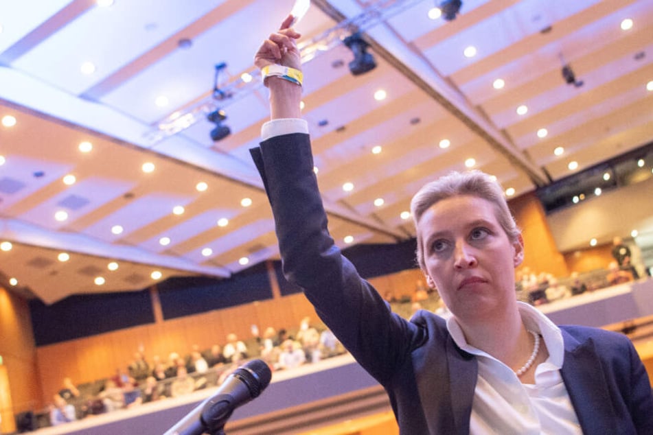 Machtwechsel bei der AfD: Alice Weidel neue Vorsitzende!