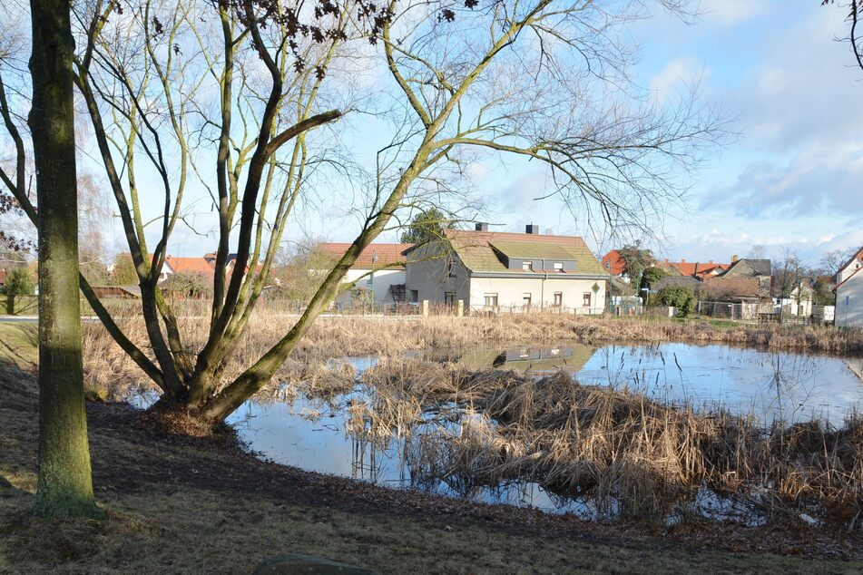 Noch bis zum 23. Februar nimmt das Bauamt der Stadt Naunhof Eure Kaufangebote für den Fuchshainer "Krippenteich" entgegen.