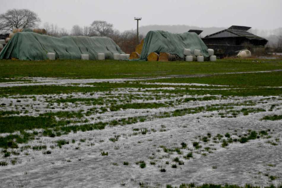Landwirte im Norden müssen mit viel Regen auf ihren Feldern klarkommen.