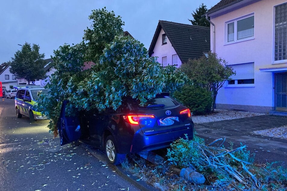 Als Grund für den Unfall gab der junge Mann aus Pulheim an, am Steuer eingenickt zu sein.