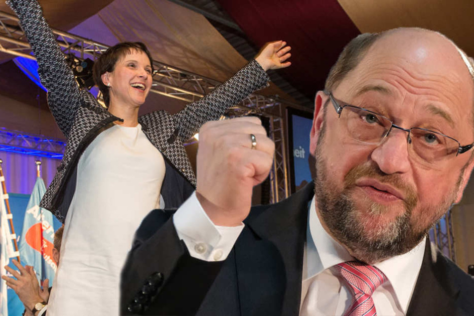 AfD-Chefin Petry bezeichnet Martin Schulz als "Tagegeld-Erschleicher"