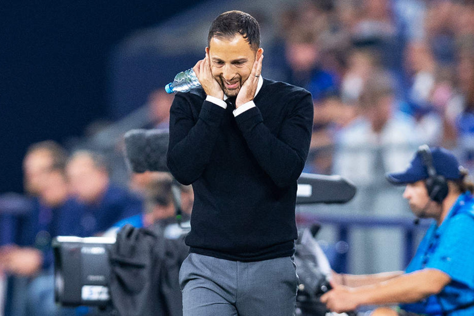 Schalkes Trainer Domenico Tedesco sorgte mit seinem Versprecher für viele Lacher.