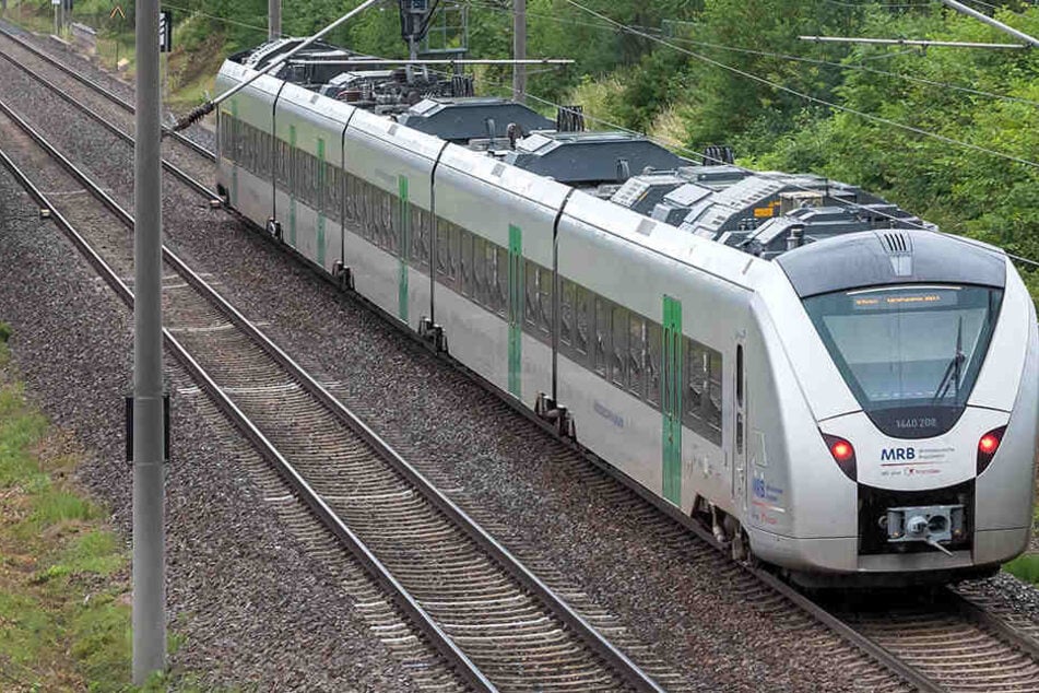 In einem Zug, der in Richtung Freiberg unterwegs war, belästigten zwei Männer Frauen und griffen sie mit Pfefferspray an. (Archivbild)