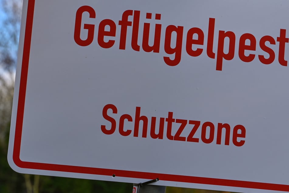 Vogelgrippe-Fall in NRW: 120 Tiere getötet und entsorgt, Sperrzone eingerichtet