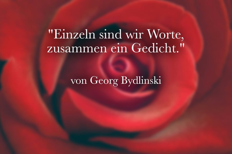 Georg Bydlinski sagte: "Einzeln sind wir Worte, zusammen ein Gedicht."